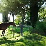 Agriturismo Piana Arborello مزرعة للإقامة