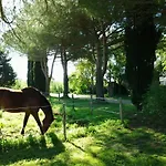 Agriturismo Piana Arborello *