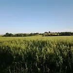 Agriturismo Piana Arborello * ماليانو إن توسكانا