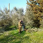 Agriturismo Piana Arborello *