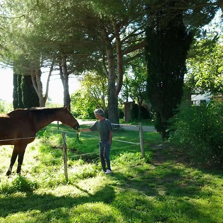 Agriturismo Piana Arborello Gospodarstwo agroturystyczne