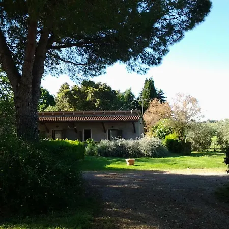 Agriturismo Piana Arborello Gospodarstwo agroturystyczne Magliano in Toscana