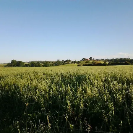 Agriturismo Piana Arborello * Magliano in Toscana