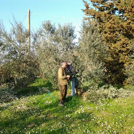 Agriturismo Piana Arborello *